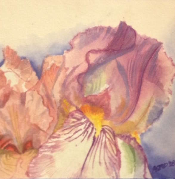 Irises (watercolour) by Astrid Akkerman