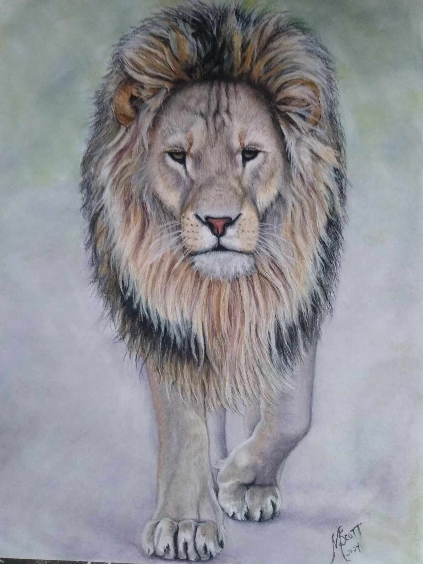 Lion