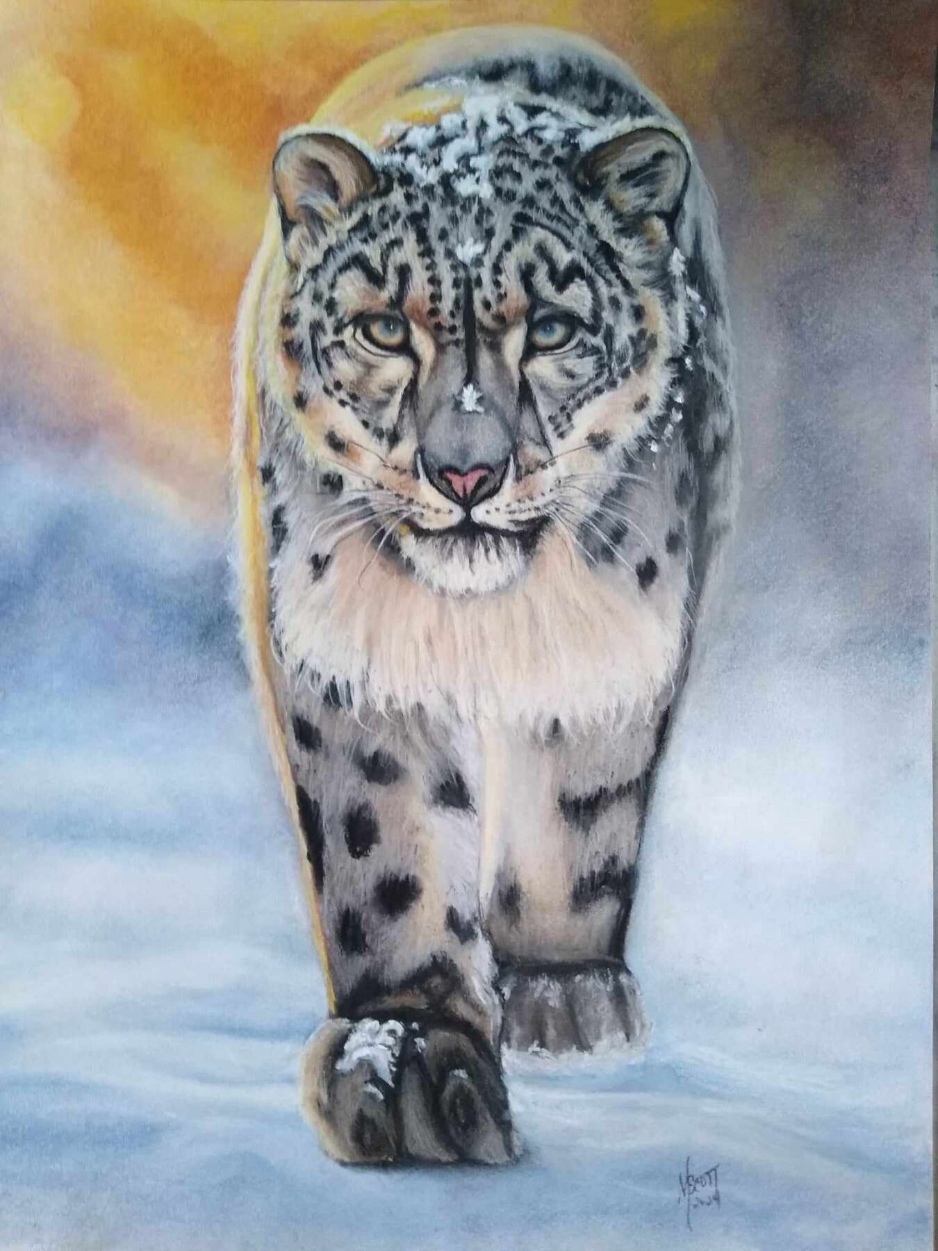 Snow Leopard