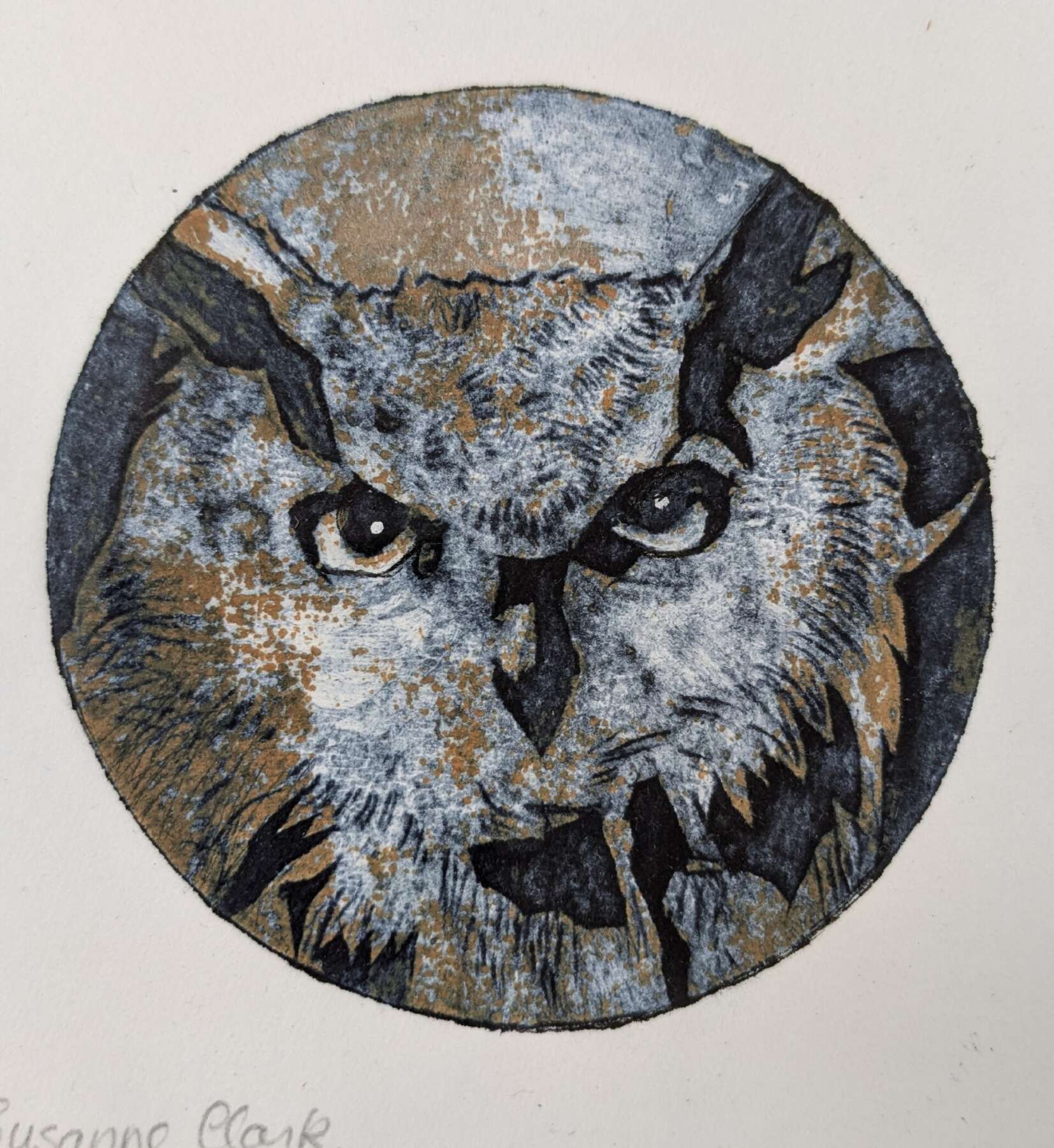 Owl