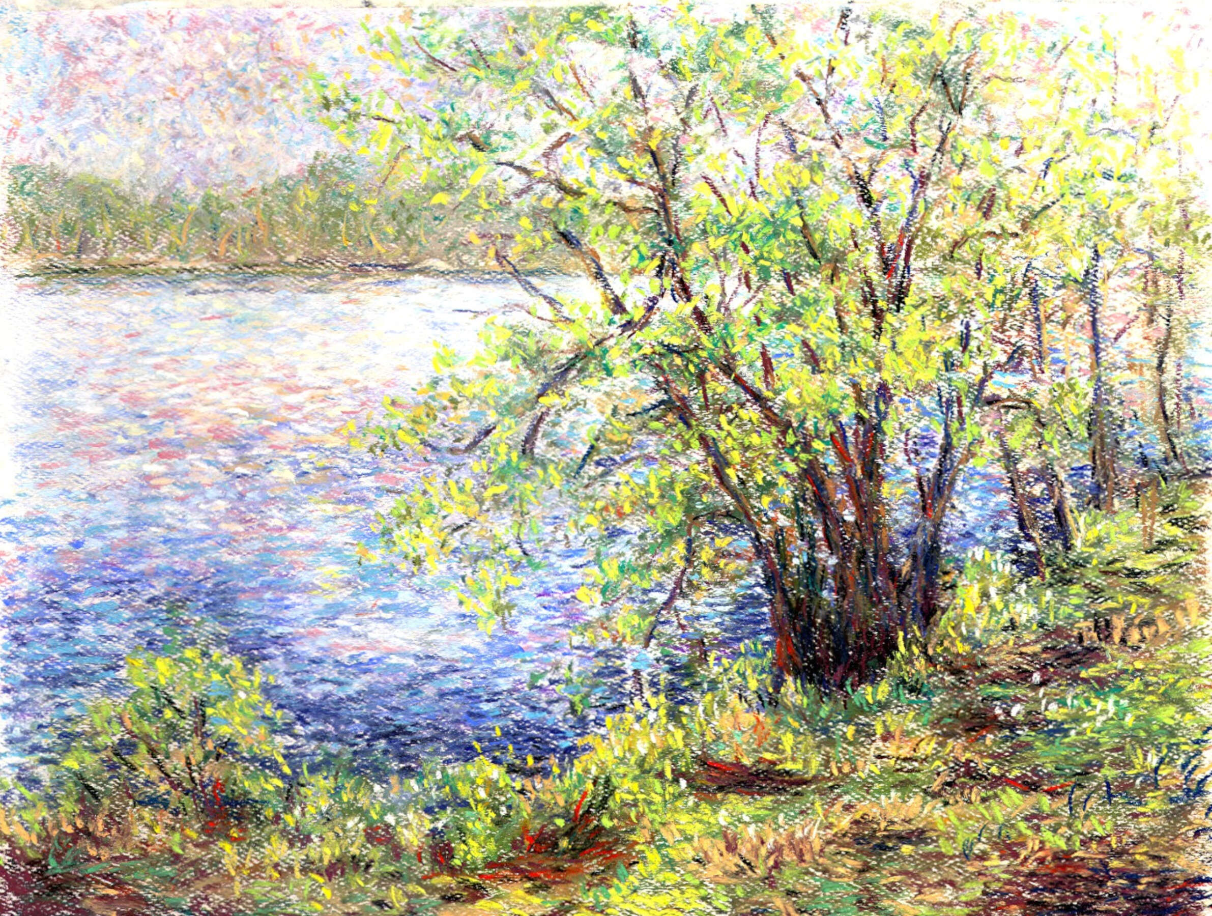 Spring - Henley Island
