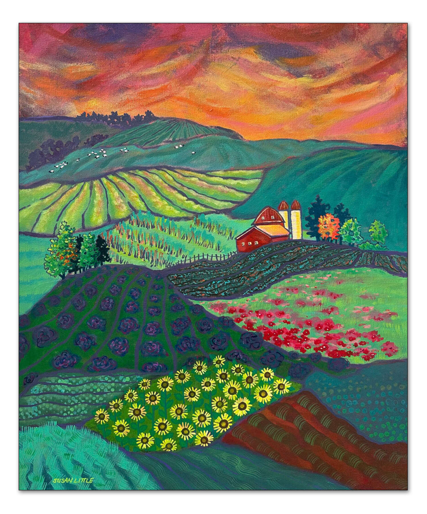 Feeling Sheepish Ontario Farmland