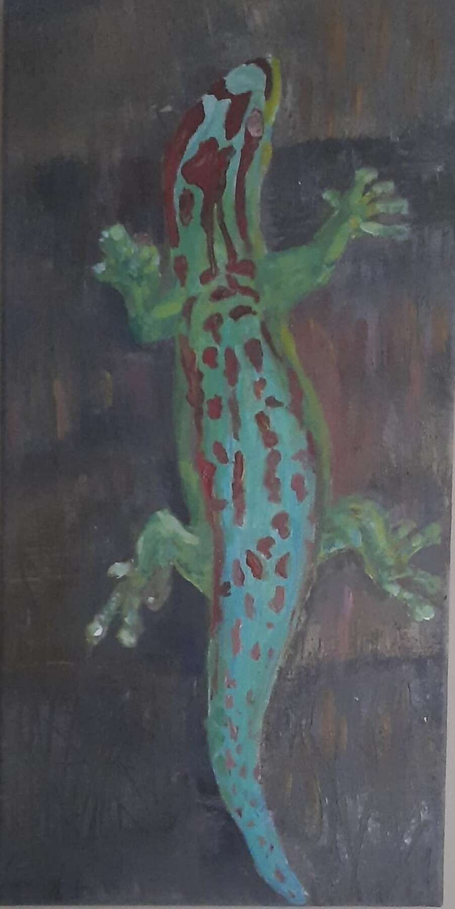 Phelsulma Ornata