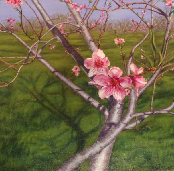 Peach Blossoms (acrylic) by Christine Famula