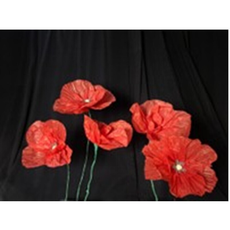 Poppy Fields