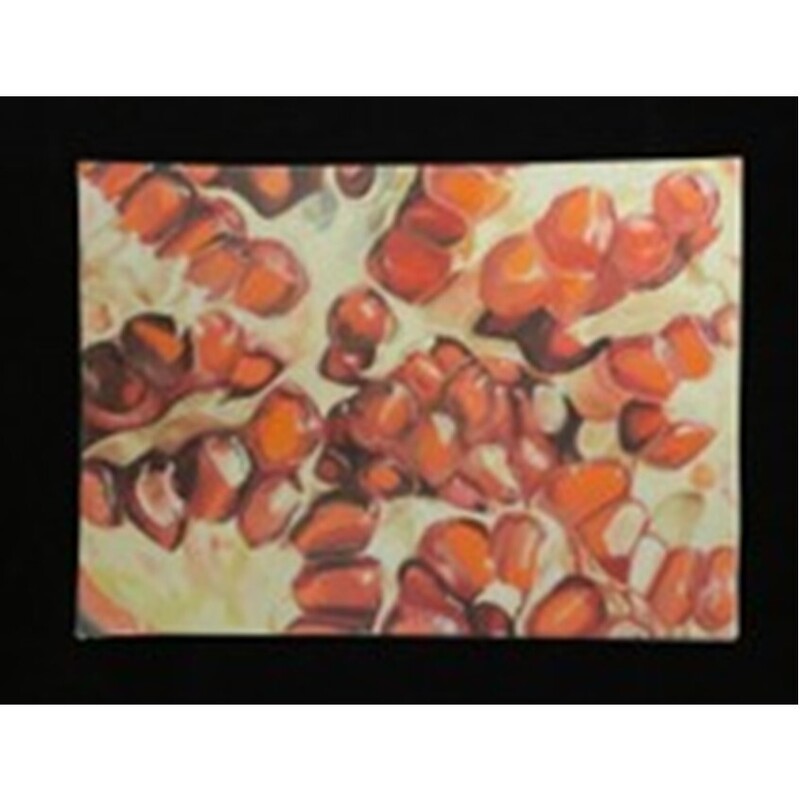 Pomegranate Seeds