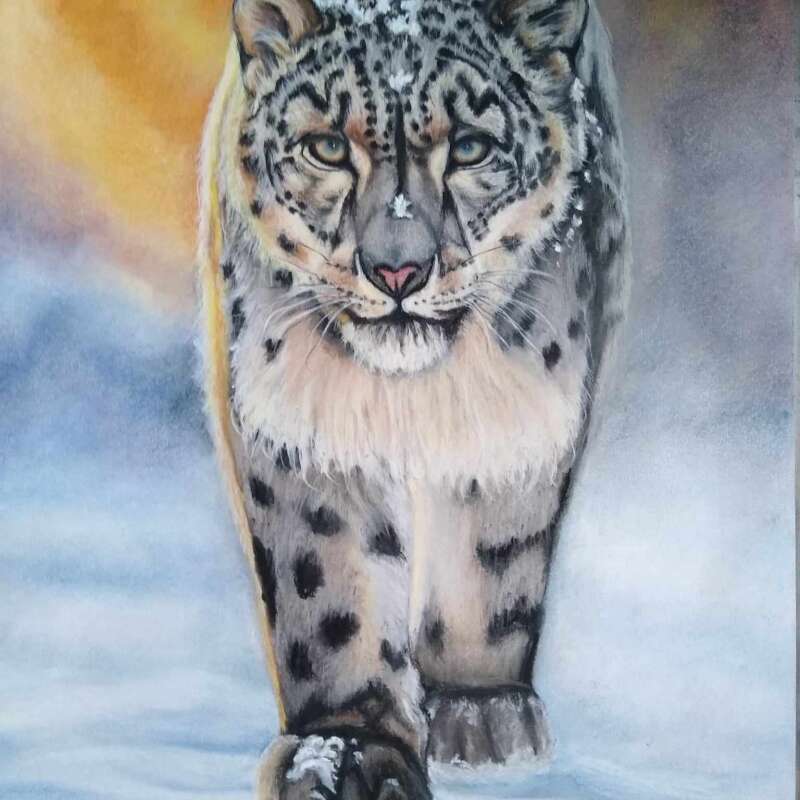 Snow Leopard