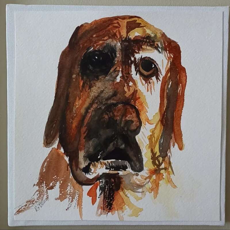 Oko