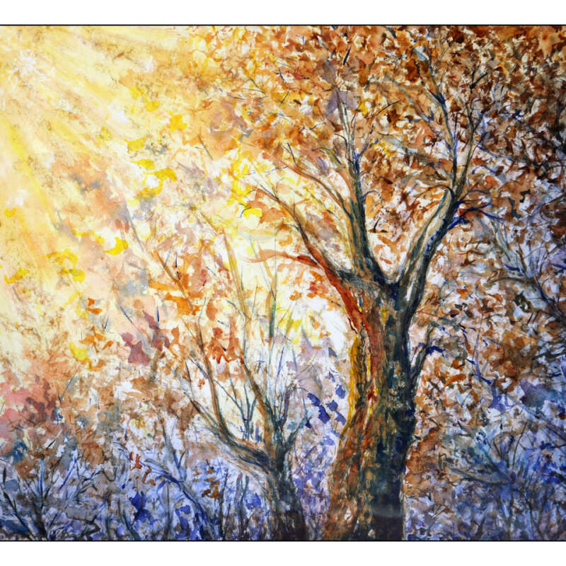 Scenic 002 Scenic 002